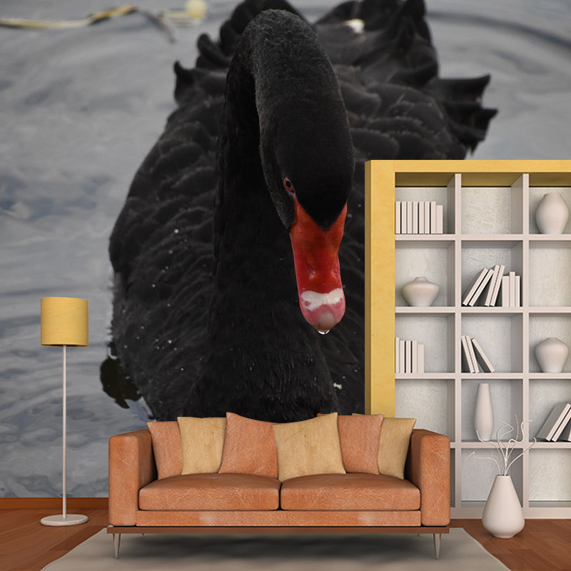 Customized Black Swan Wall Mural Contemporary Photography for Bedroom Living Room