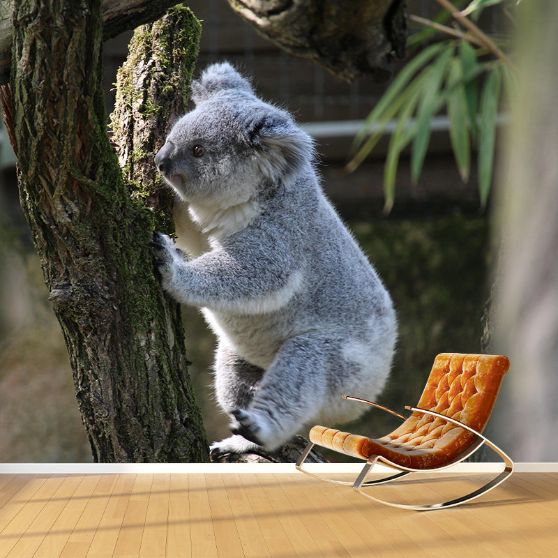 Customized Koala Wall Mural Contemporary Photography for Bedroom Living Room