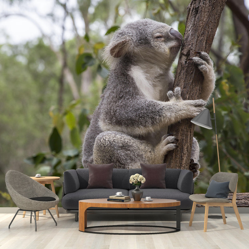 Customized Koala Wall Mural Contemporary Photography for Bedroom Living Room