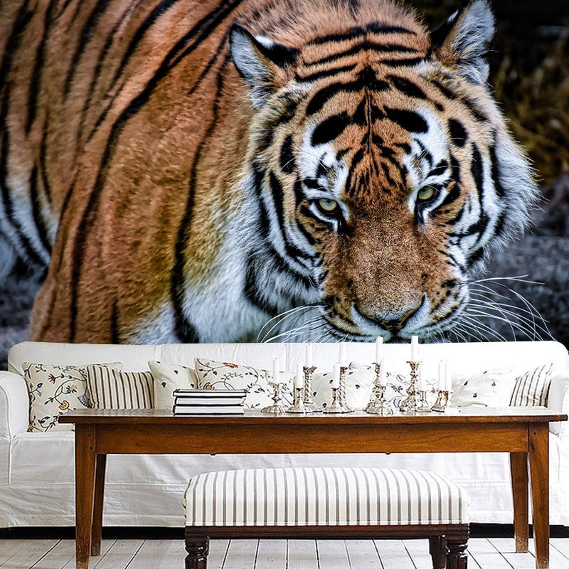 Photography Wild Animal Tiger Mural Wallpaper Environment Friendly for Living Room