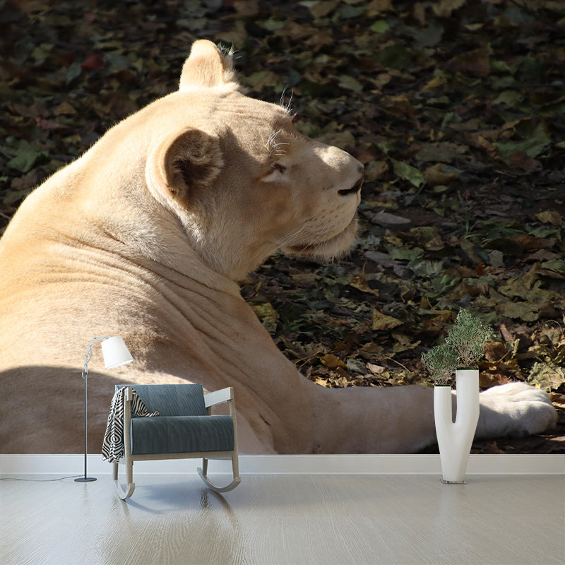 Customized Lioness Wall Mural Contemporary Photography for Bedroom Living Room
