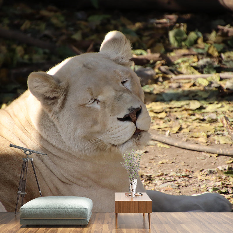 Customized Lioness Wall Mural Contemporary Photography for Bedroom Living Room