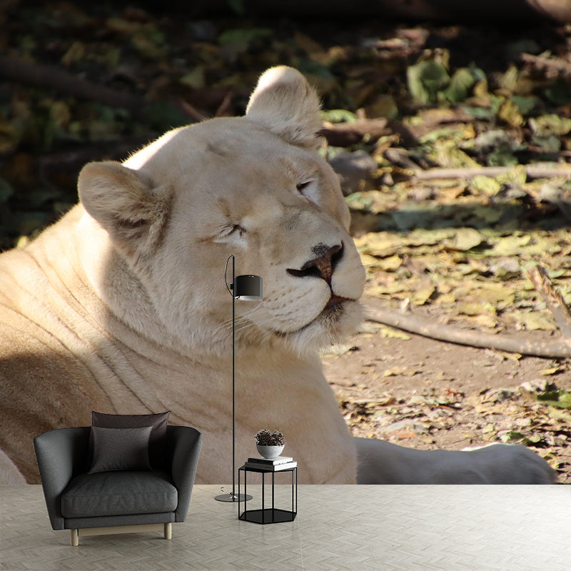 Customized Lioness Wall Mural Contemporary Photography for Bedroom Living Room