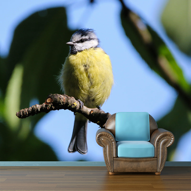 Photography Wild Animal Tit Mural Wallpaper Environment Friendly for Living Room