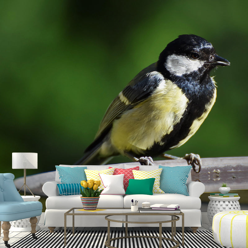 Photography Wild Animal Tit Mural Wallpaper Environment Friendly for Living Room