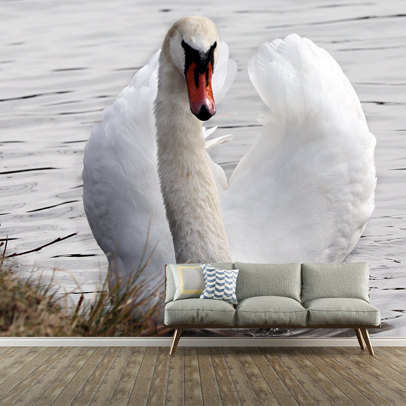Customized White Swan Wall Mural Contemporary Photography for Living Room