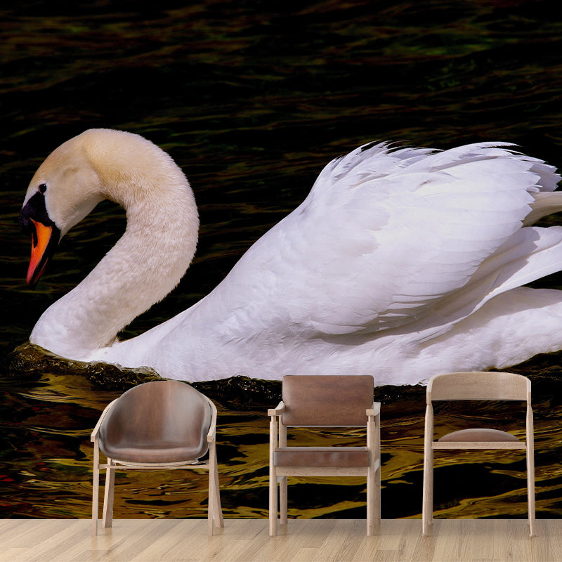 Customized White Swan Wall Mural Contemporary Photography for Living Room