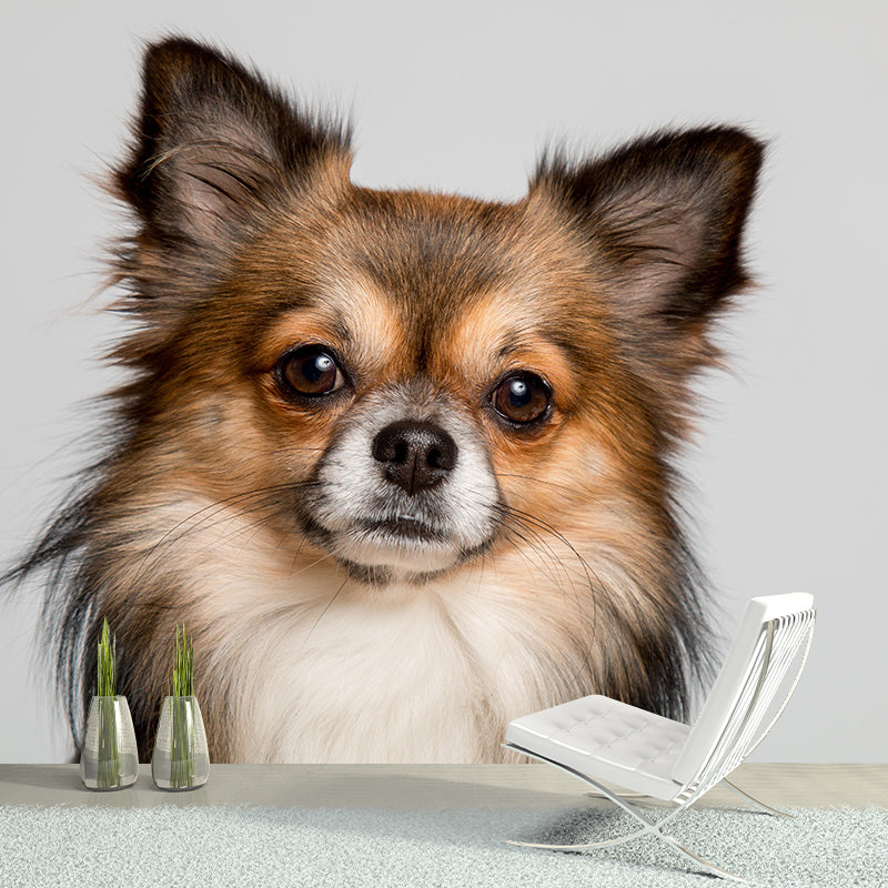 Customized Puppy Wall Mural Contemporary Photography for Bedroom Living Room