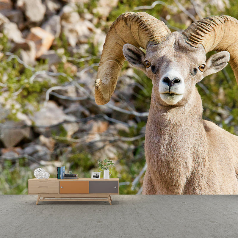 Photography Animal Sheep Mural Wallpaper Environment Friendly for Living Room