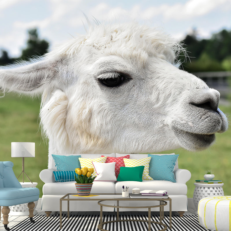 Customized Cute Alpaca Wall Mural Contemporary Photography for Living Room