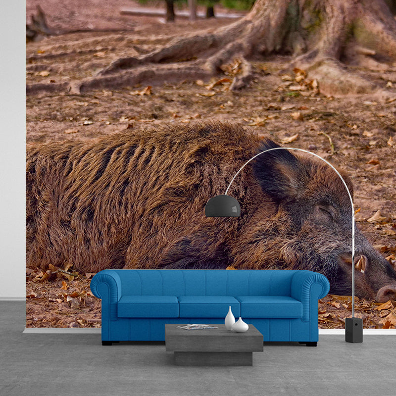 Customized Lion Wall Mural Contemporary Photography for Bedroom Living Room