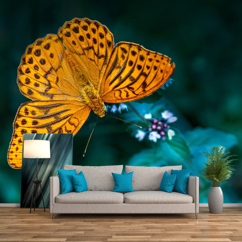 Silver Washed Fritillary Mural Contemporary Photography for Living Room Decoration