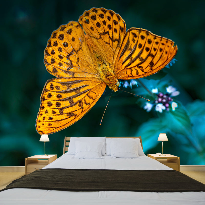 Silver Washed Fritillary Mural Contemporary Photography for Living Room Decoration