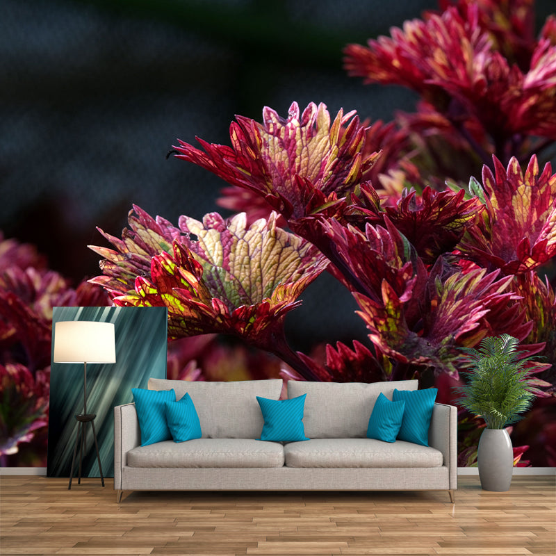 Coleus Amboinicus Mural Wall Paper Home Decorations for Kitchen Sitting Room