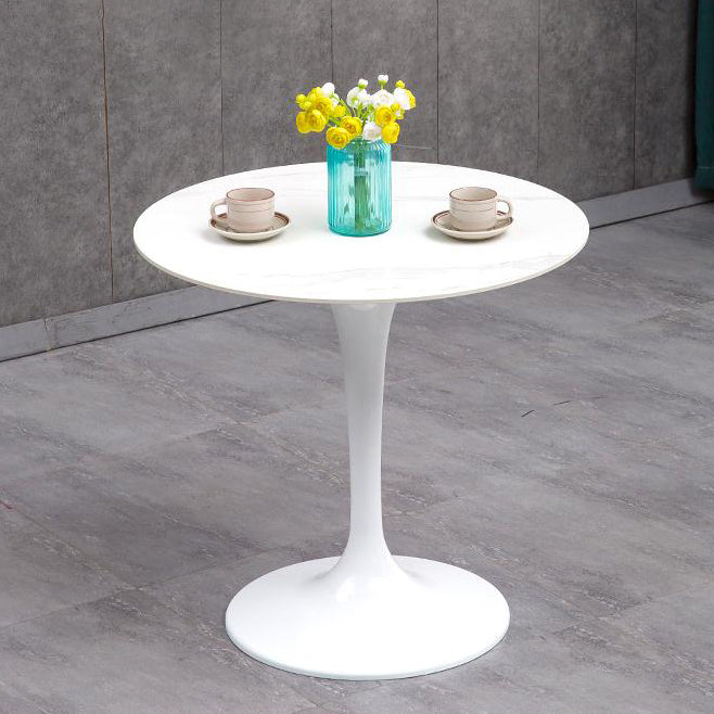 Modern Style Sintered Stone Scratch Resistant Dining Table Single Pedestal Base Round Table for Home