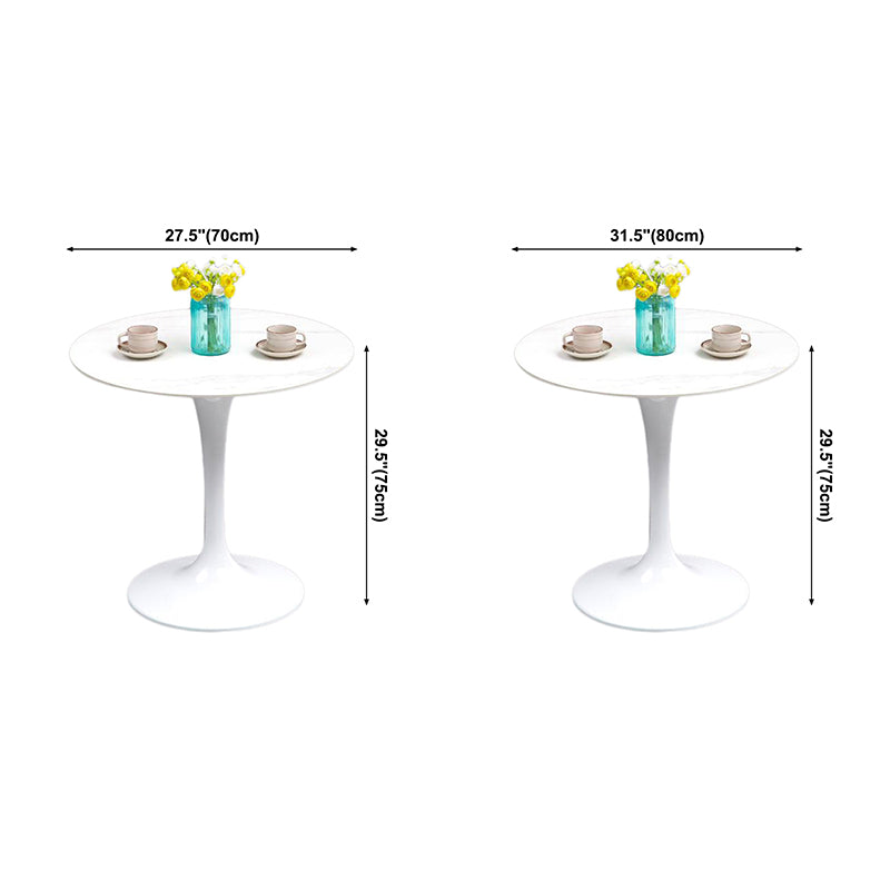Modern Style Sintered Stone Scratch Resistant Dining Table Single Pedestal Base Round Table for Home