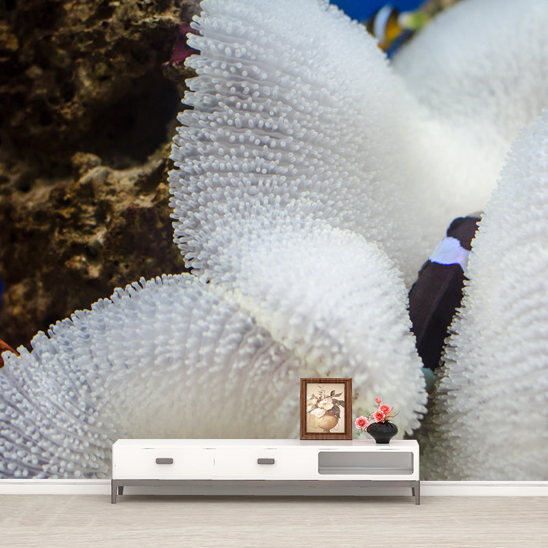 Tropical Sea Creatures Mural Wallpaper Washable Modern Living Room Decoration