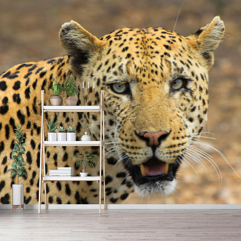 Leopard Mural Decal Modern Style Mildew Resistant Home Decor, Custom Size