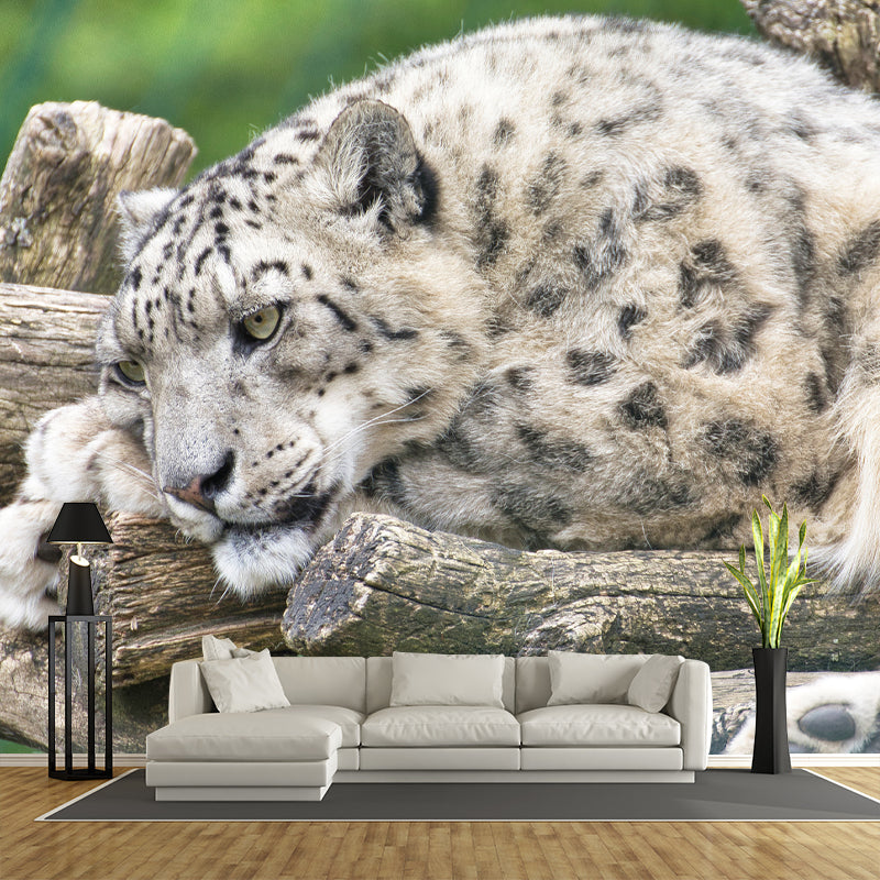 Leopard Mural Decal Modern Style Mildew Resistant Home Decor, Custom Size