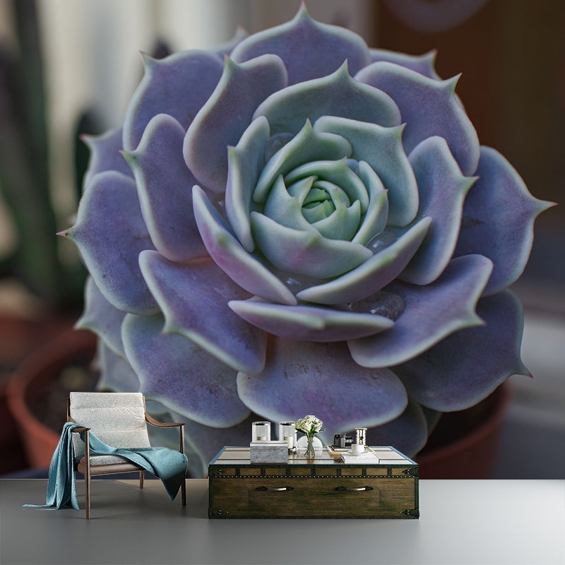 Anthurium Plant Wall Murals Contemporary Wall Art for Bedroom, Moisture Resistant