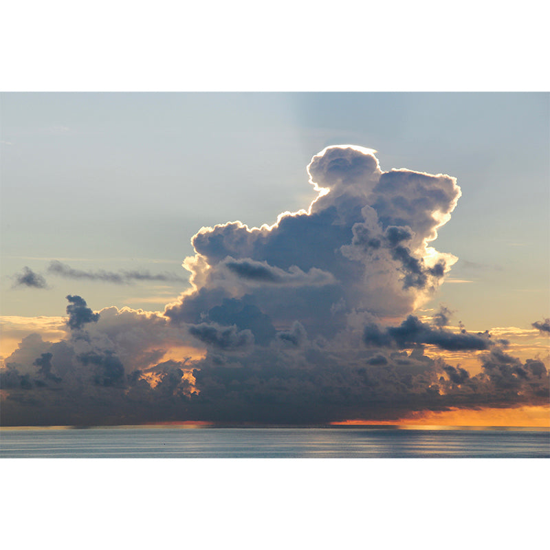 Sky Scenery Wall Murals Moisture Resistant Wall Covering for Living Room