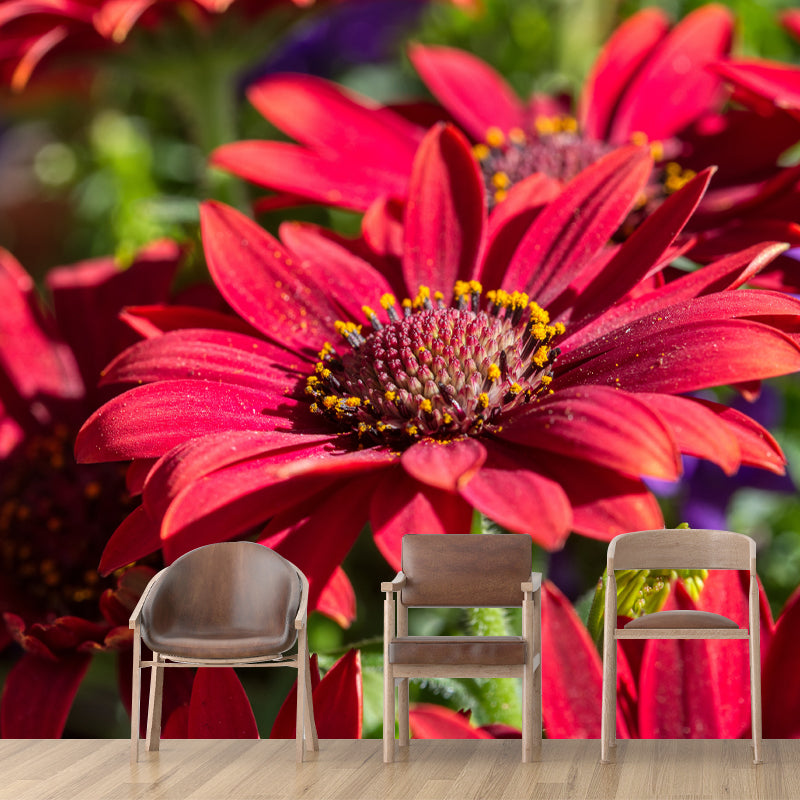 Bunte Chrysanthemen-Wanddekoration für Schlafzimmer und Wohnzimmer, individuelle Größe erhältlich