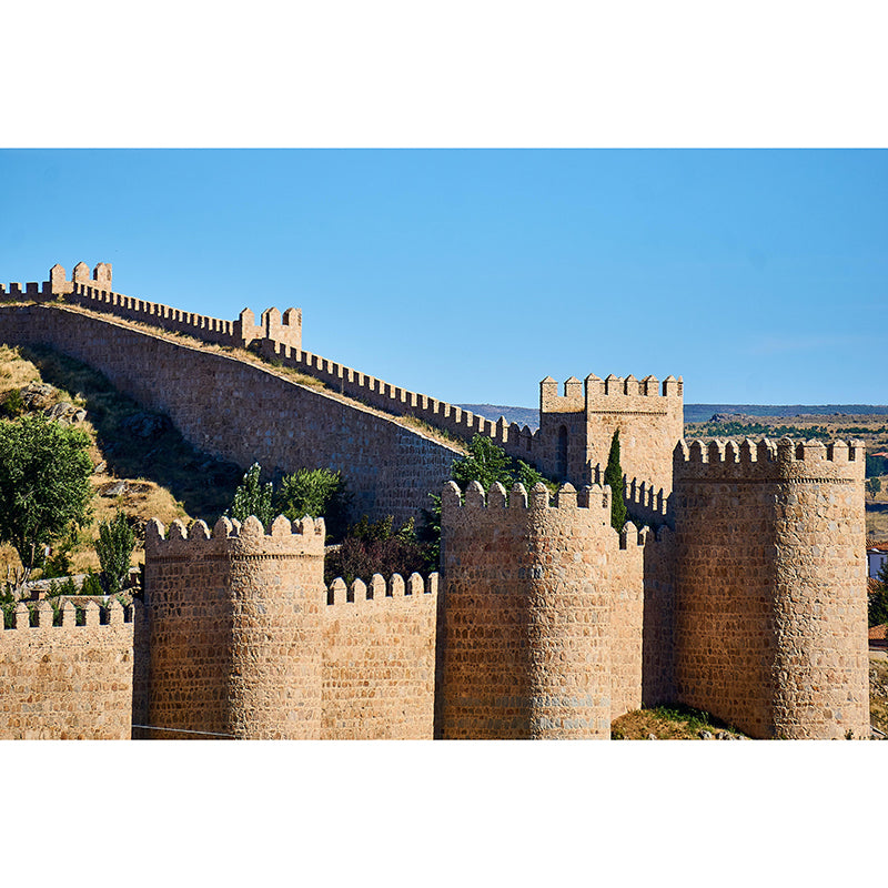 Customized Buildings Photography Wall Mural Mildew Resistant for Decoration