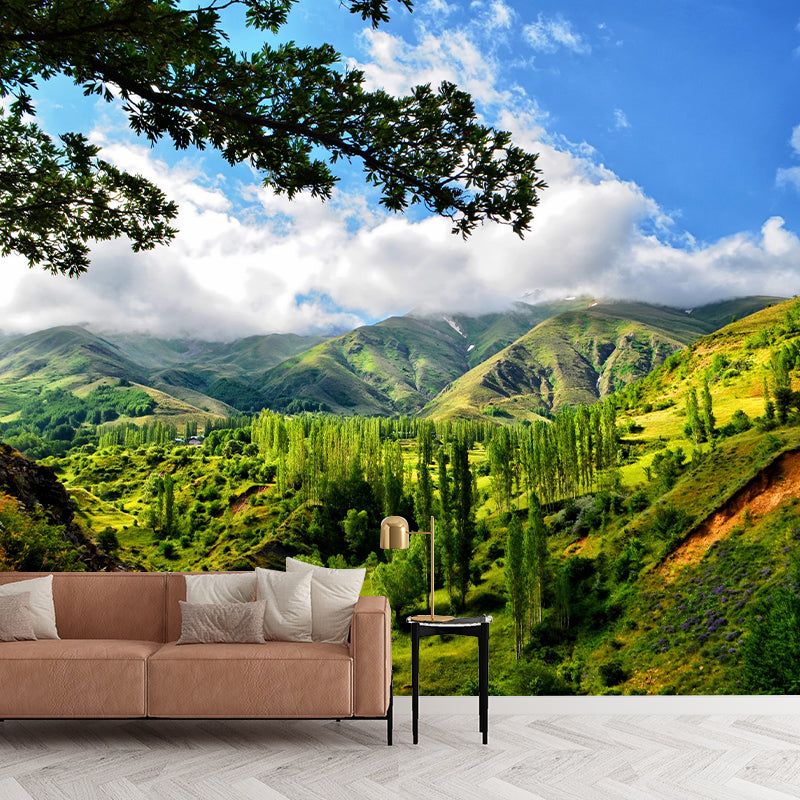 Mountain Scenery Wall Mural Modernism Style Wall Decoration for Wall Decor