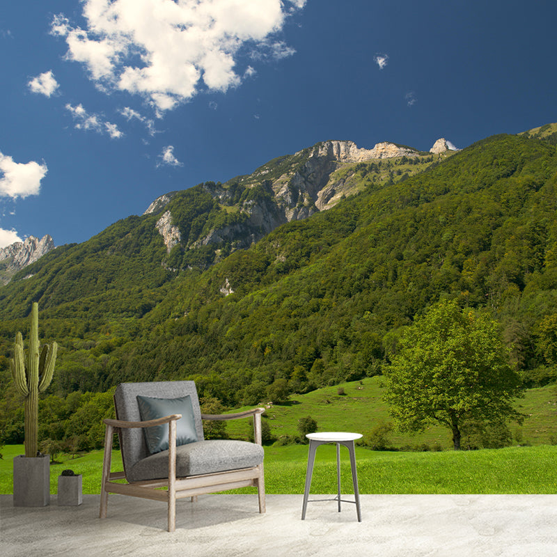 Mountain Scenery Wall Mural Modernism Style Wall Decoration for Study Room