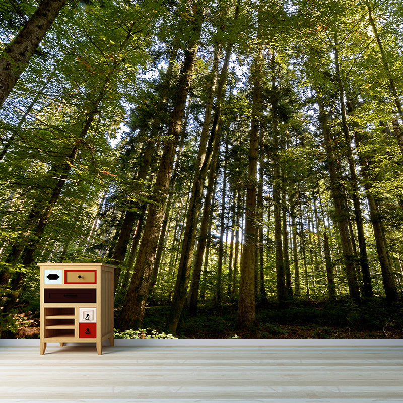 Forest Landscapes Mural Contemporary Mildew Resistant Wall Covering for Dining Room