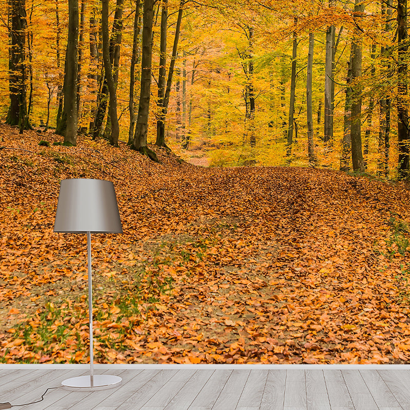 Customized Forest Scenery Wall Mural Mildew Resistant for Living Room Decor