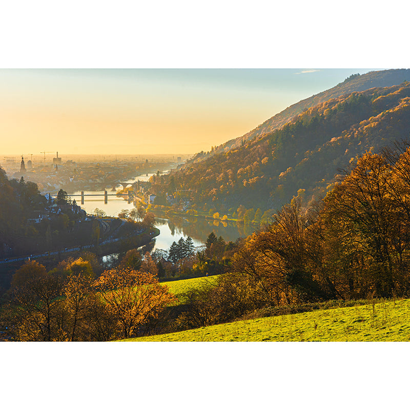 Customized Forest Scenery Wall Mural Mildew Resistant for Living Room Decor