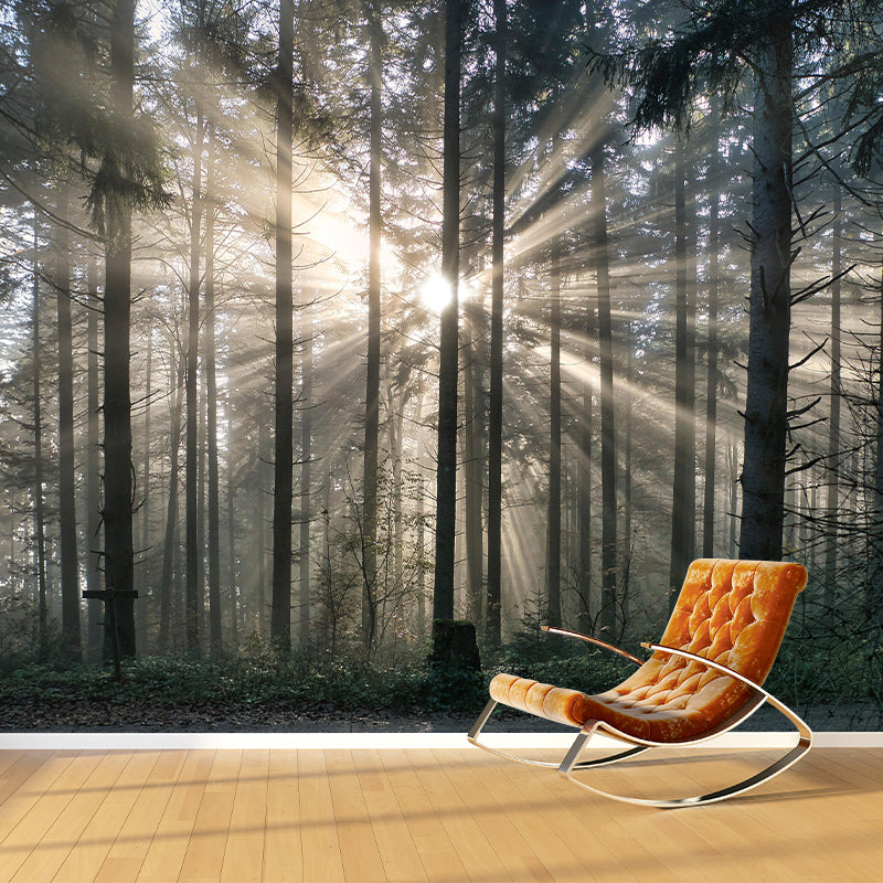 Forest Landscapes Mural Contemporary Mildew Resistant Wall Covering for Bathroom