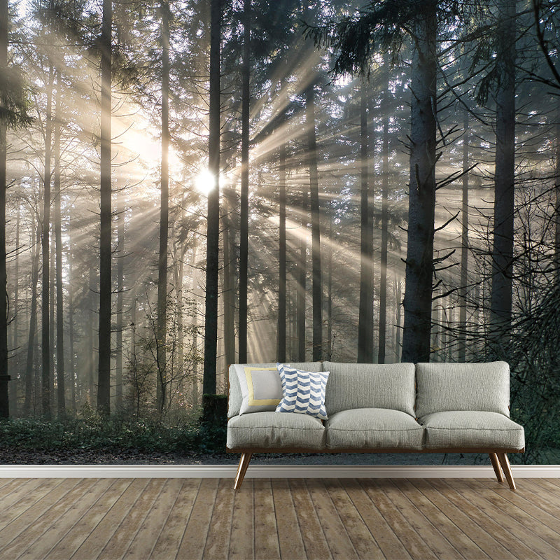 Forest Landscapes Mural Contemporary Mildew Resistant Wall Covering for Bathroom