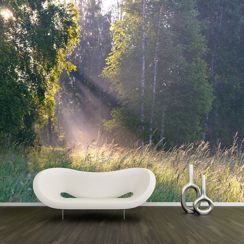 Customized Forest Scenery Wall Mural Mildew Resistant for Bedroom Decoration