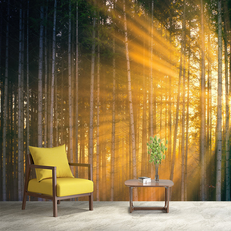 Forest Scenery Wall Mural Modernism Style Wall Decoration for Living Room