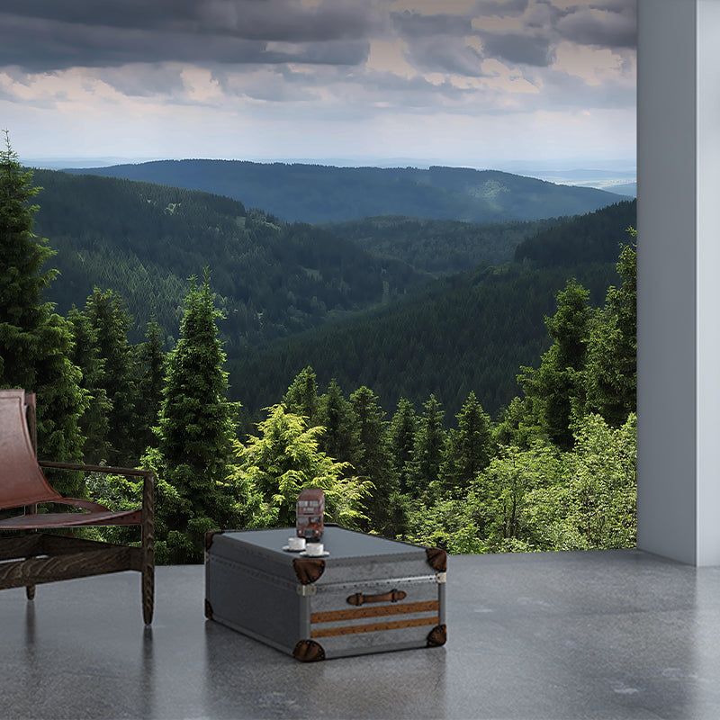 Forest Landscapes Mural Contemporary Mildew Resistant Wall Covering for Bedroom