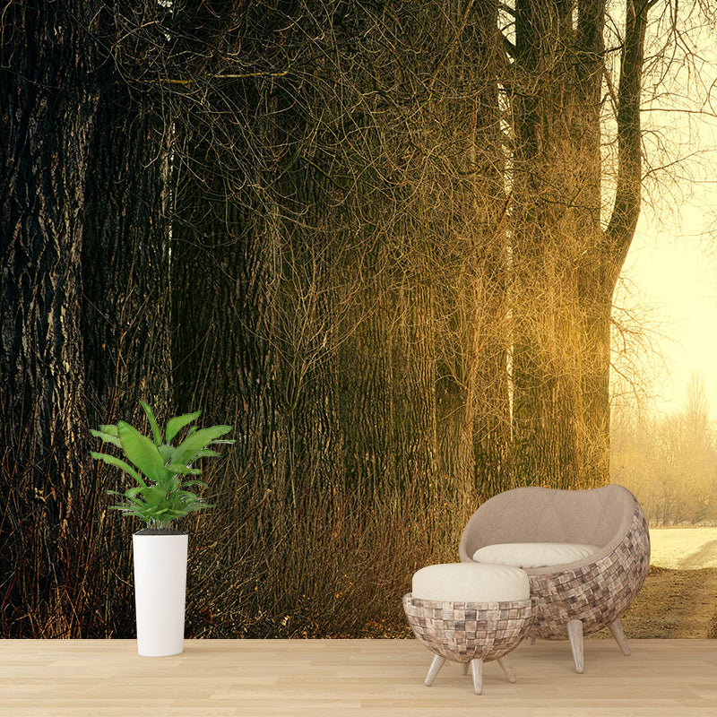 Forest Wall Mural Horizontal Photography Eco-friendly Wall Covering for Decoration