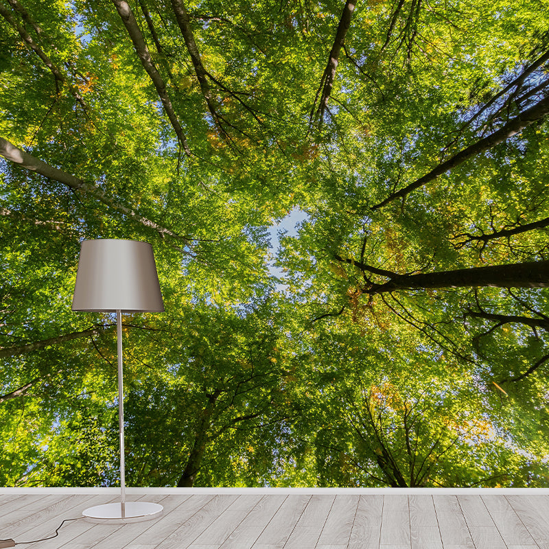 Forest Wall Mural Horizontal Photography Eco-friendly Wall Covering for Decoration