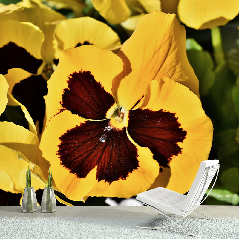 Pansy Flower Mural Wallpaper for Bedroom Wall Decor, Customized Size Available