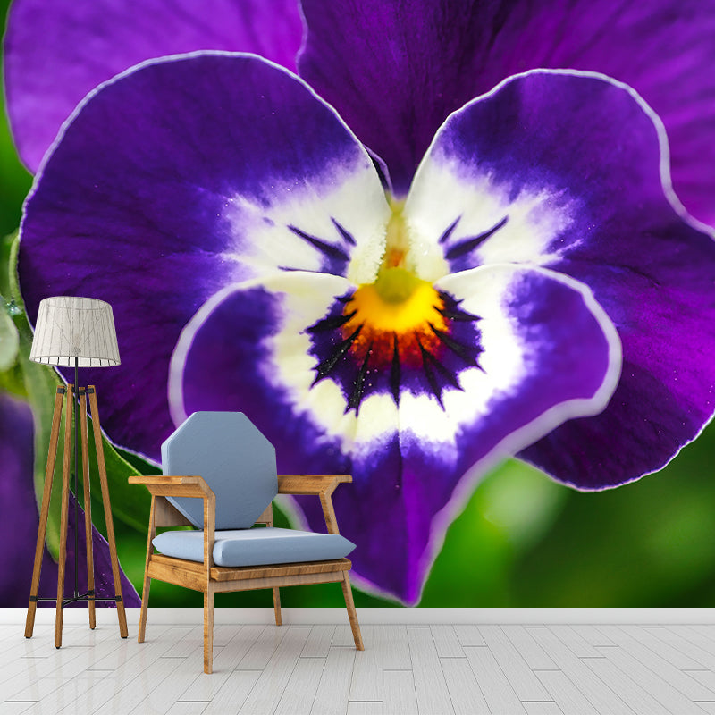 Pansy Flower Mural Wallpaper for Bedroom Wall Decor, Customized Size Available