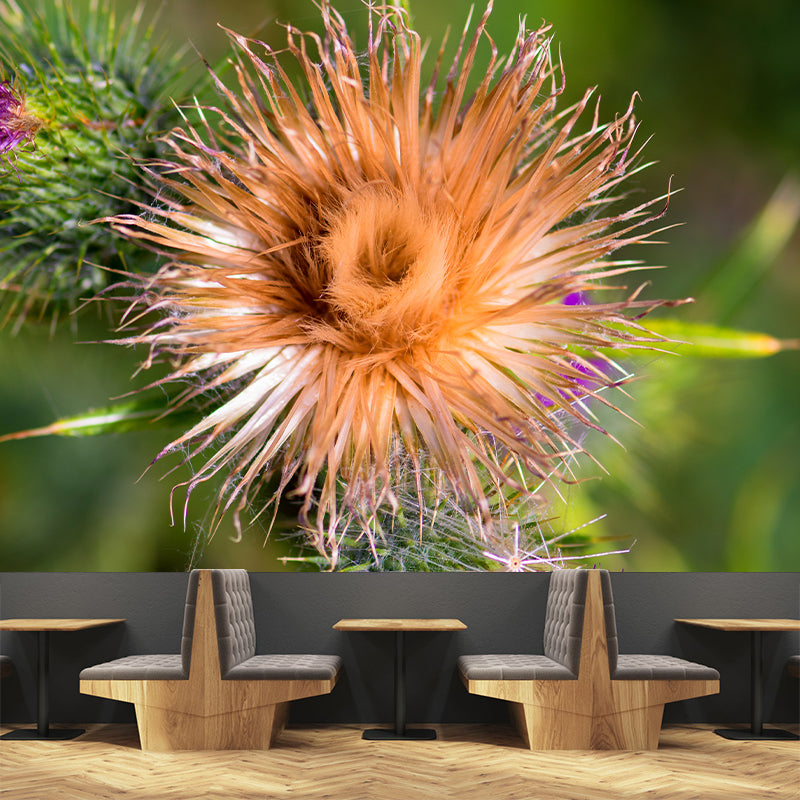 Cirsium Plant Wall Mural for Reading Room Decoration, Moisture Resistant