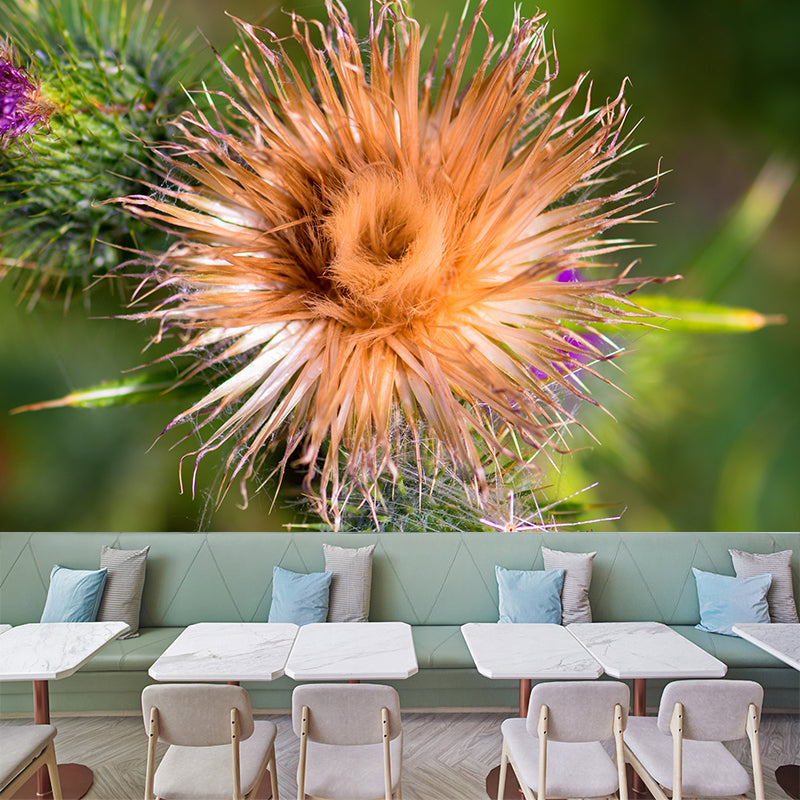 Cirsium Plant Wall Mural for Reading Room Decoration, Moisture Resistant