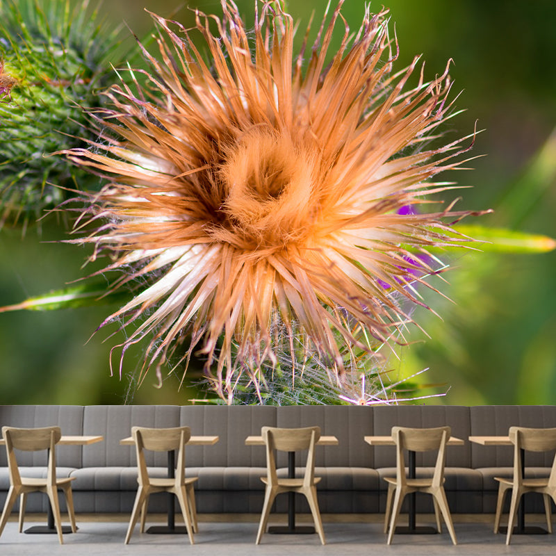 Cirsium Plant Wall Mural for Reading Room Decoration, Moisture Resistant