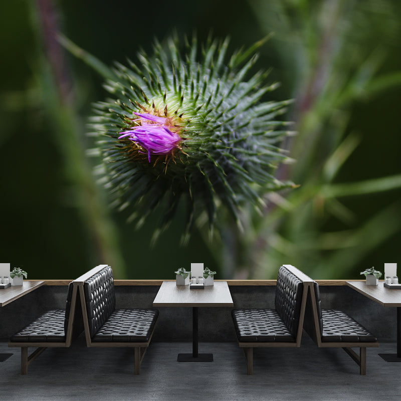 Cirsium Plant Wall Mural for Reading Room Decoration, Moisture Resistant