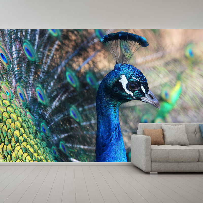Peacock Mural Wallpaper Water Resistant for Sitting Room, Custom Size Available