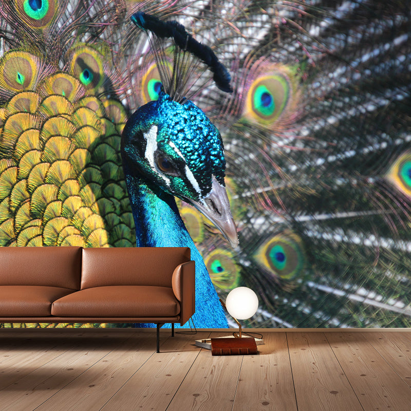 Peacock Mural Wallpaper Water Resistant for Sitting Room, Custom Size Available