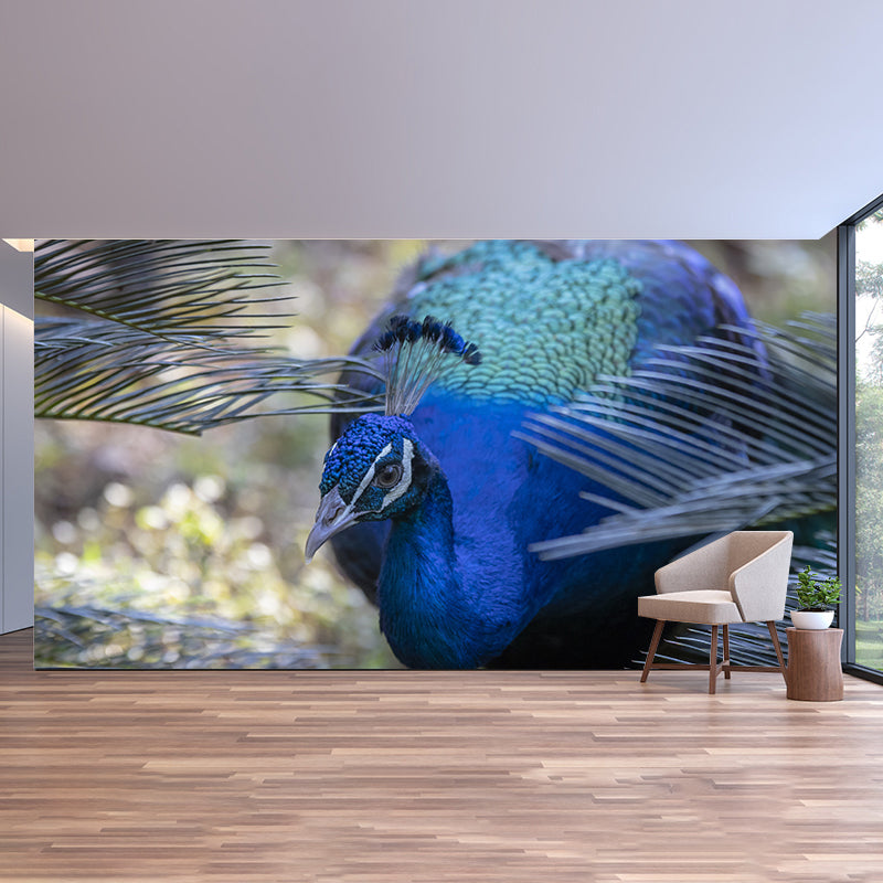 Peacock Mural Wallpaper Water Resistant for Sitting Room, Custom Size Available