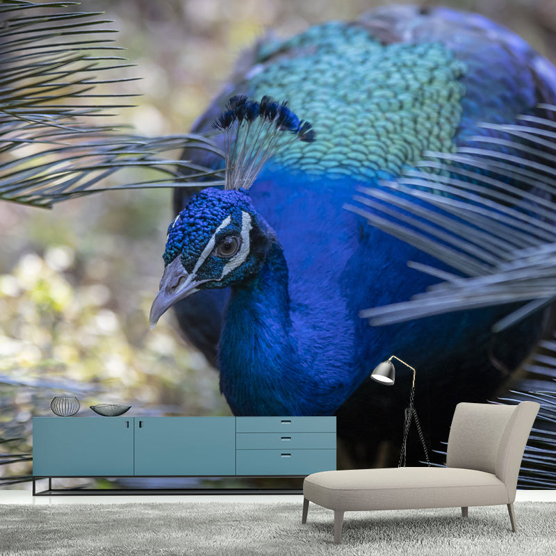 Peacock Mural Wallpaper Water Resistant for Sitting Room, Custom Size Available