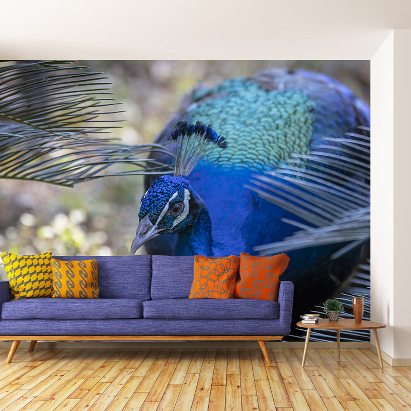 Peacock Mural Wallpaper Water Resistant for Sitting Room, Custom Size Available